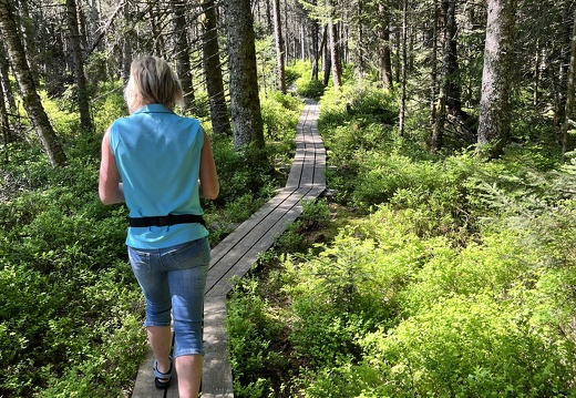 23-05-27 10-54-56 5722